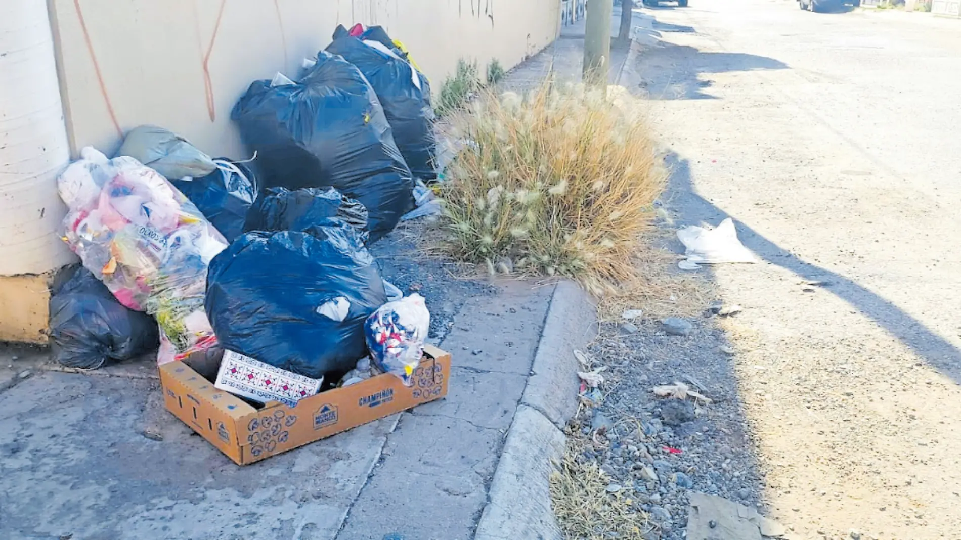 Basura en la vía pública en colonia STUAZ en Guadalupe, Zacatecas